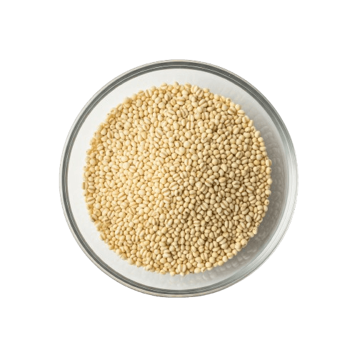 Proso Millet