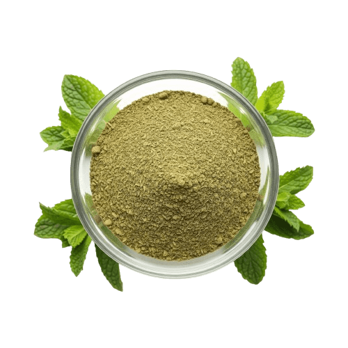 Dried Mint Powder