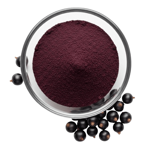 Black Currant Powder