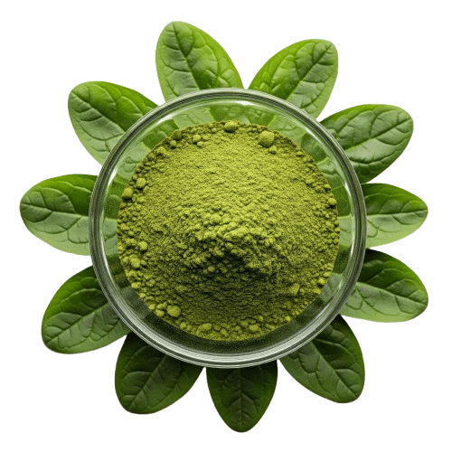 Spinach Powder