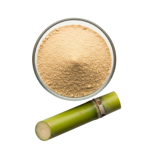 Sugarcane Juice Powder
