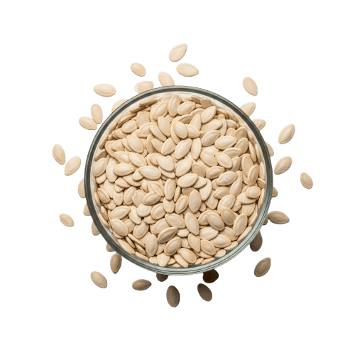 Muskmelon Seeds