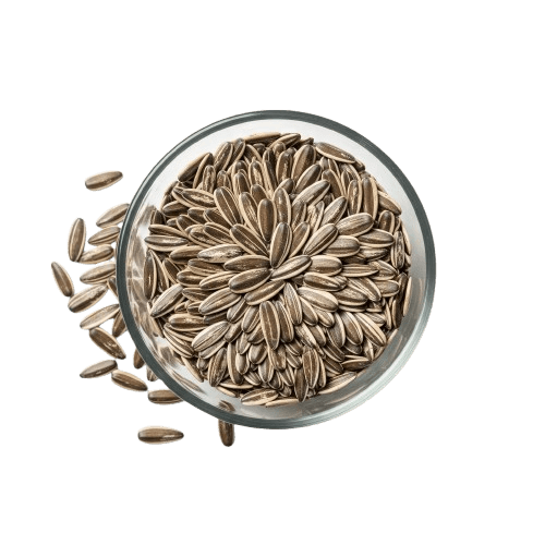 Sanflower Seeds